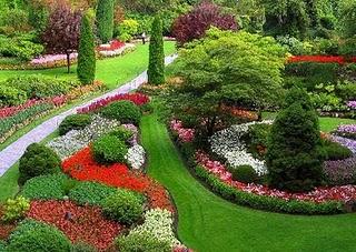 imagen jardin