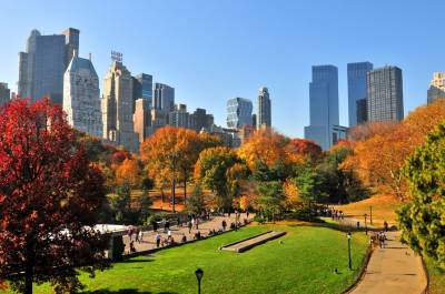 el central park y la ciudad